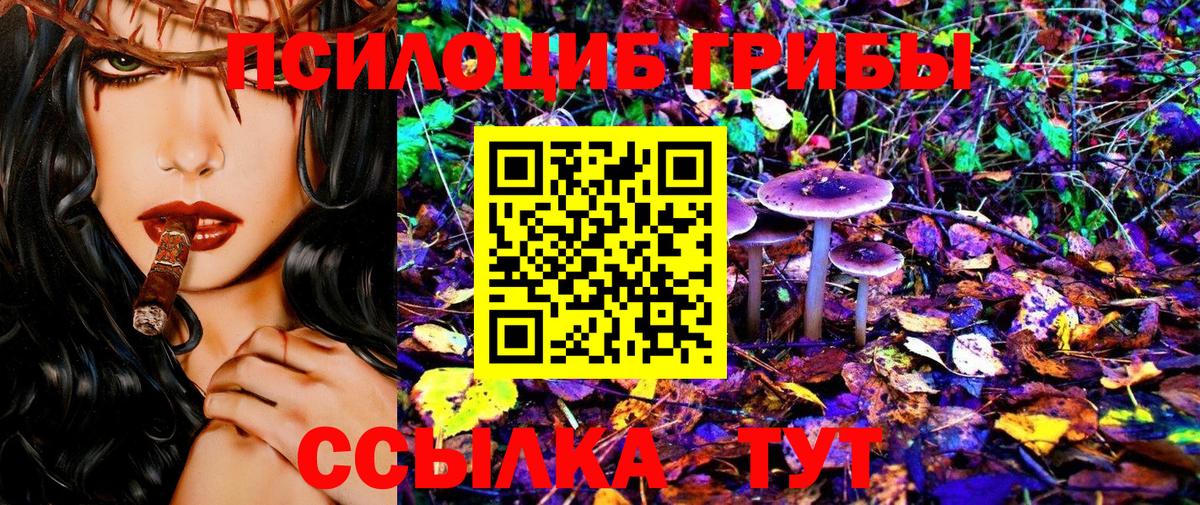 Галлюциногенные грибы GOLDEN TEACHER  Галлюциногенные грибы Cubensis  Вход с VPN  Елабуга 